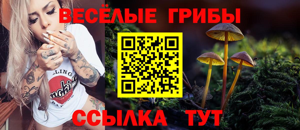 Городец  Псилоцибиновые грибы GOLDEN TEACHER  наркотики  Вход с VPN  Псилоцибиновые грибы ЛСД 