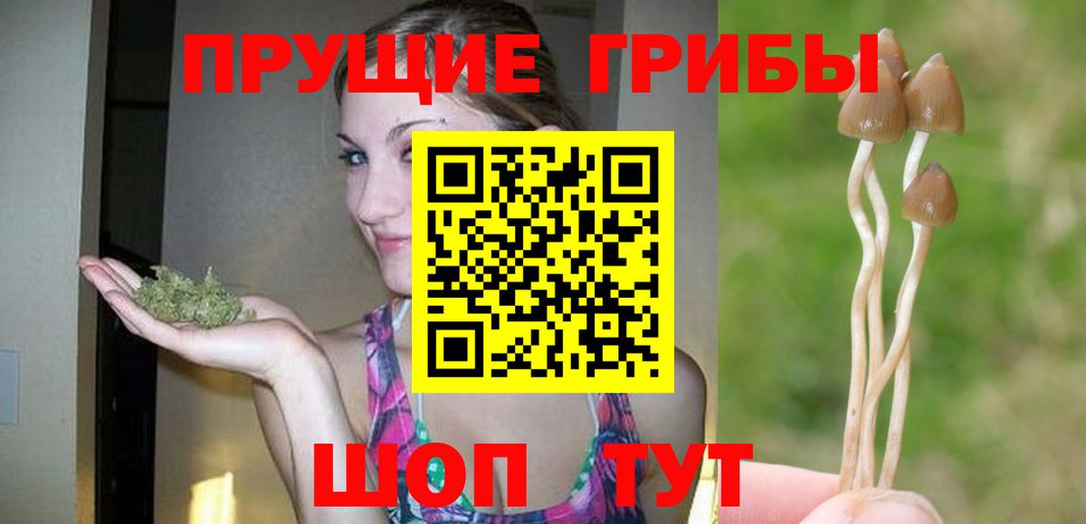 Галлюциногенные грибы прущие грибы Городец